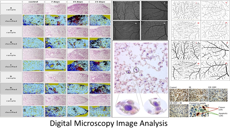 Digital Microscopy Image Analysis