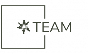 TEAM — Λογότυπο έργου